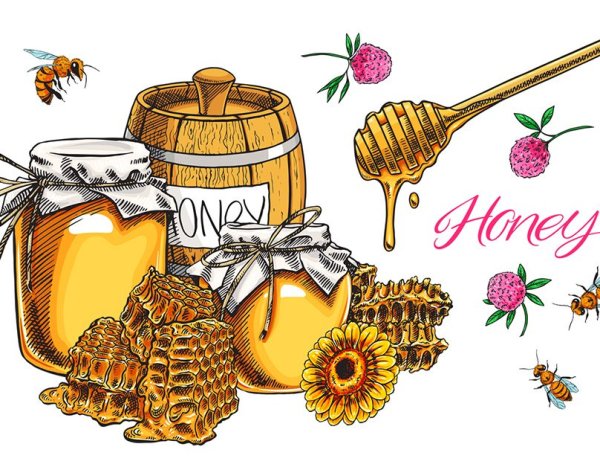 Вилкова медовый спас