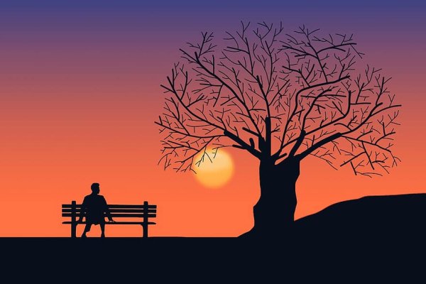 Дерево вечером рисунок