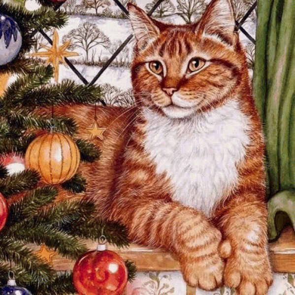 Дебби Кук кошки