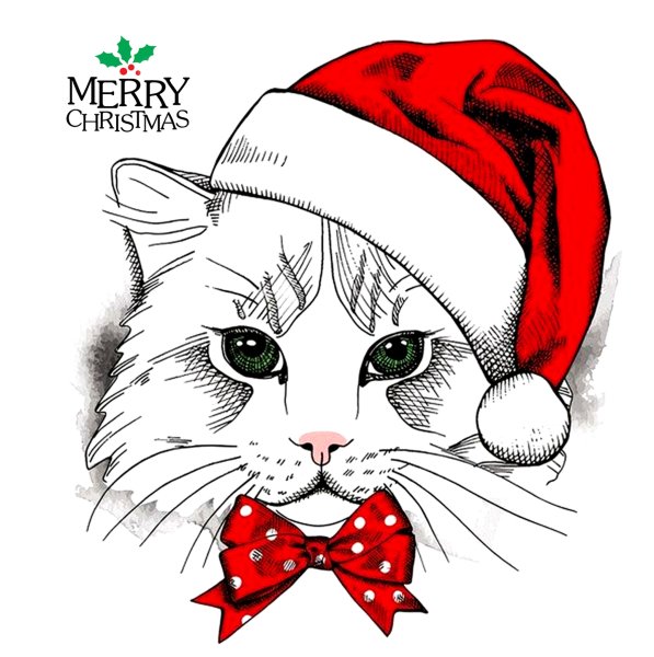 Новогодний кот