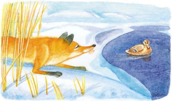 Мамин Сибиряк серая шейка иллюстрации к сказке