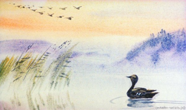 Приёмыш мамин Сибиряк шейка