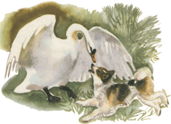 Дмитрий мамин-Сибиряк приёмыш