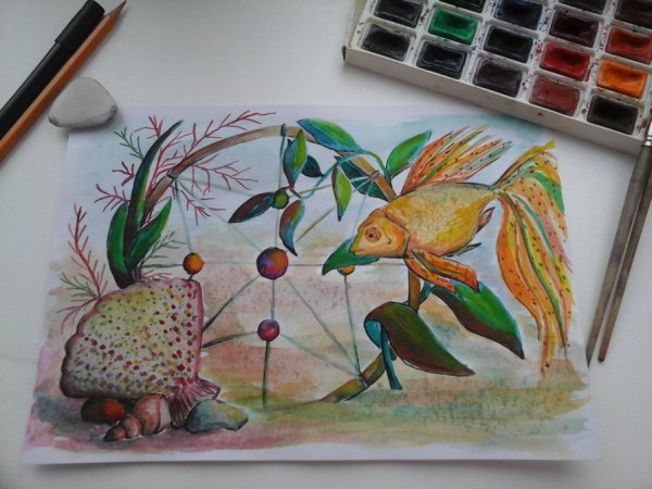 Интересы и увлечения