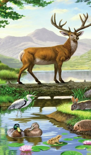 Пейзаж с животными для детей