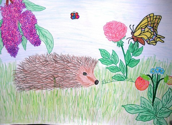 Детские рисунки о природе и животных