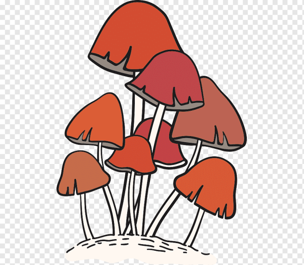 Бледная поганка