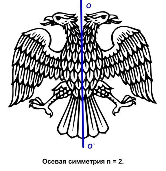Осевая симметрия рисунки