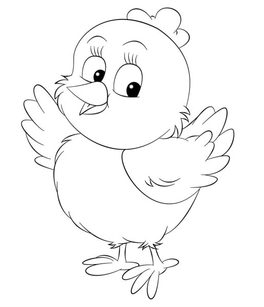 Цыпленок раскраска для детей
