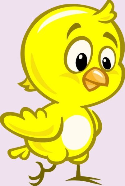 Pollito Amarillito