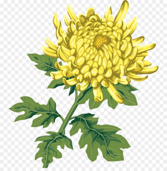 Хризантема мультяшная