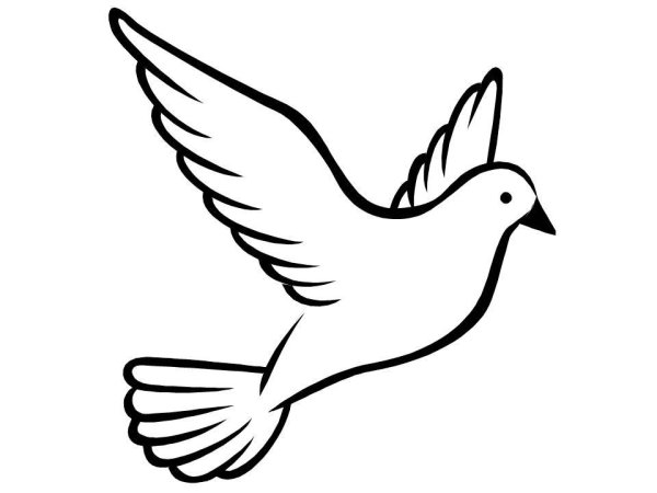 Птицы. Раскраска