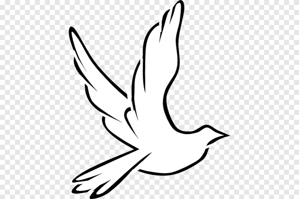 Голубь мира раскраска