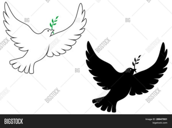 Голубь тату эскиз