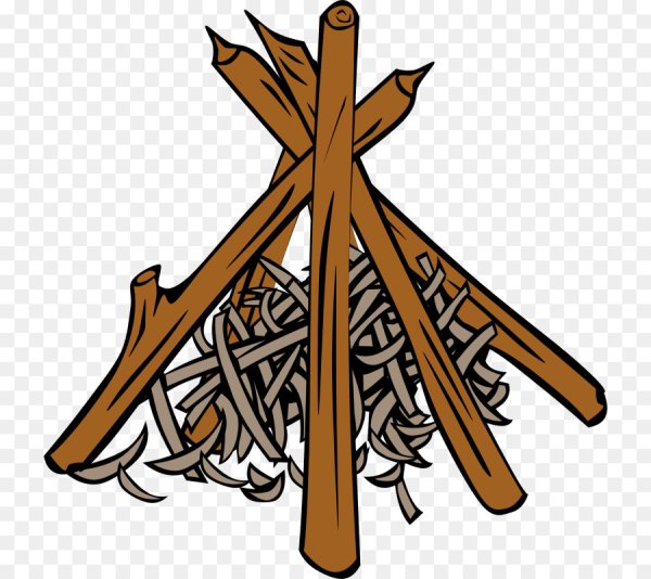 Вид костра шалаш