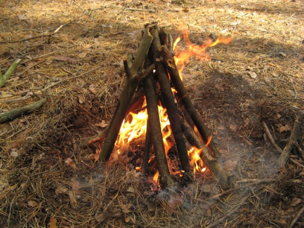 Тип костра шалаш