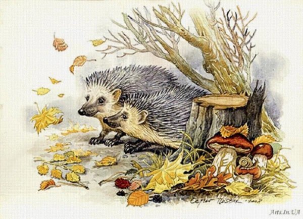Ежик в лесу для детей