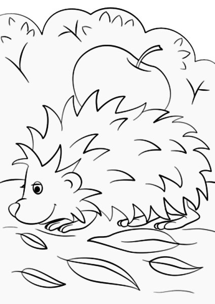 Ёжик раскраска для детей