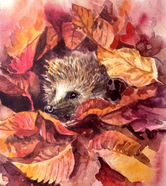 Ежик осенью