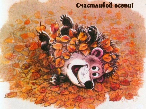 Ежик в осенних листьях