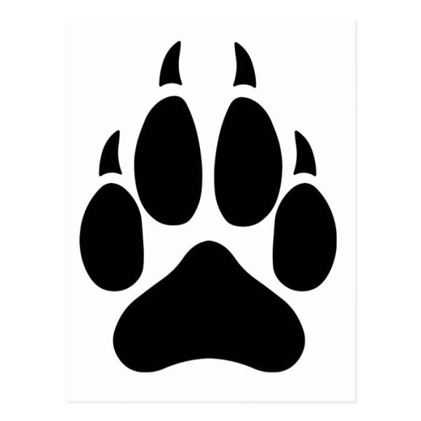 Отпечаток лапы тигра