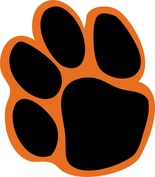 Отпечаток лапы тигра