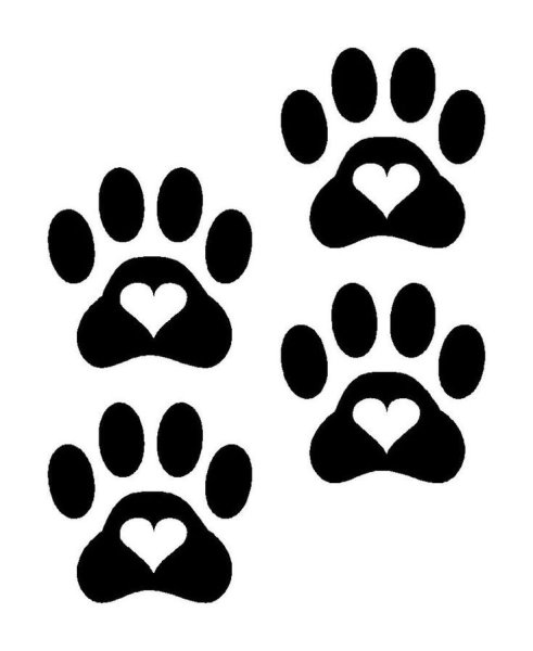 След собаки