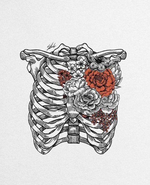 Ребра с цветами