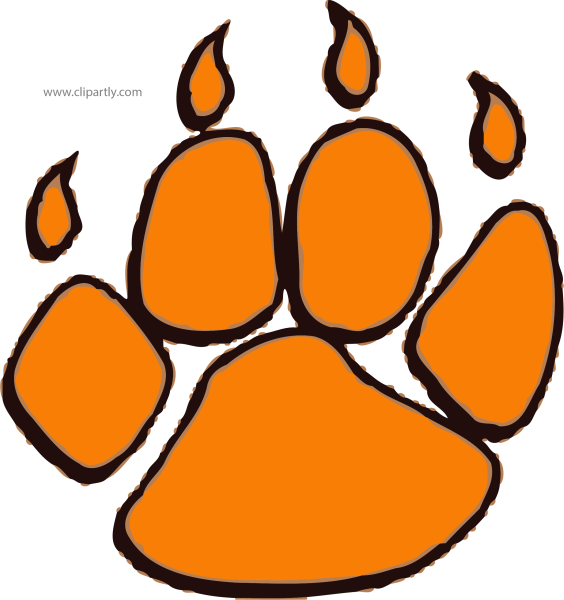 Отпечаток лапы тигра