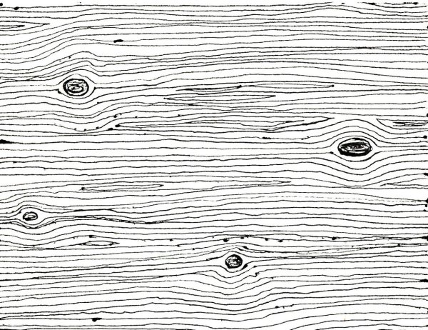 Фактура дерева черно белая