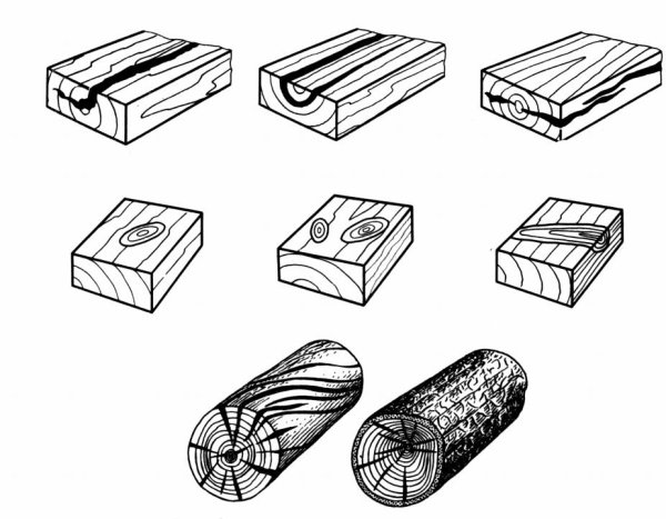 Пороки древесины зарисовки