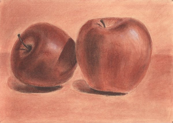 Натюрморт сангиной и сепией