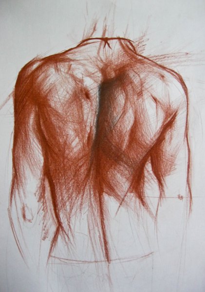 Рисунки сепией и сангиной