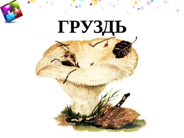 Гриб груздь рисунок