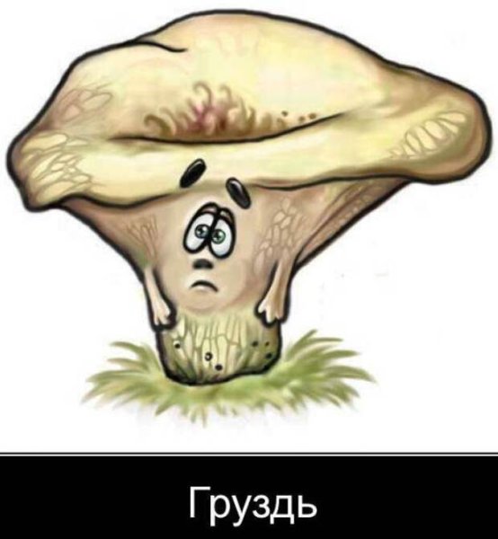 Нарисовать груздь и белый гриб