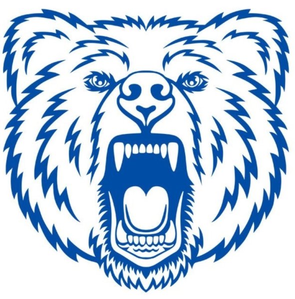 Оскал медведя вектор