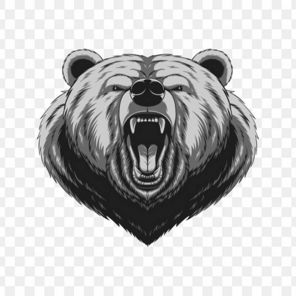 Тату голова медведя