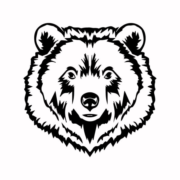 Морда медведя