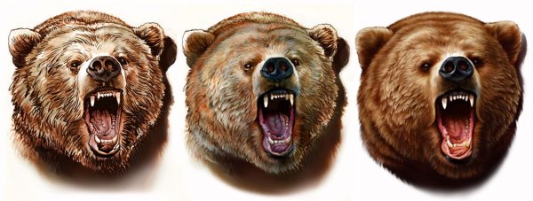 Морда медведя