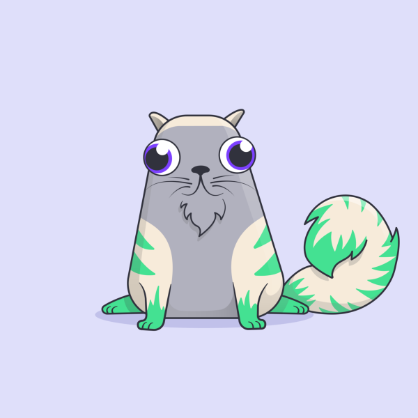 NFT токен кот