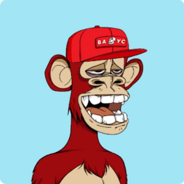 Bored Ape Yacht Club NFT
