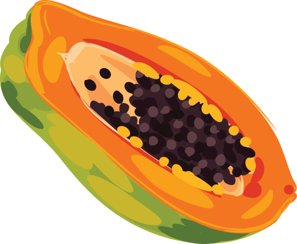 Папайя без фона