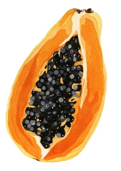 Папайя в разрезе