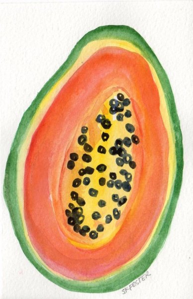 Папайя акварель