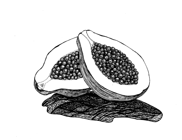 Раскраска папайя фрукт