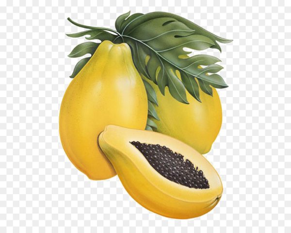 Папайя рисунок для детей