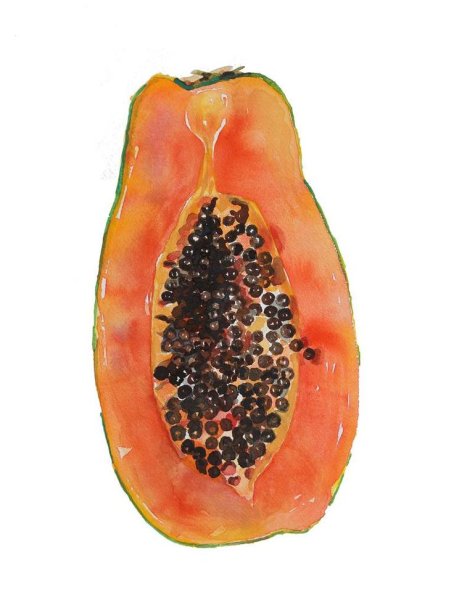 Папайя "Art Fruit"