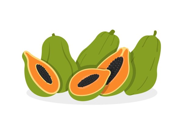 Папайя Векторная