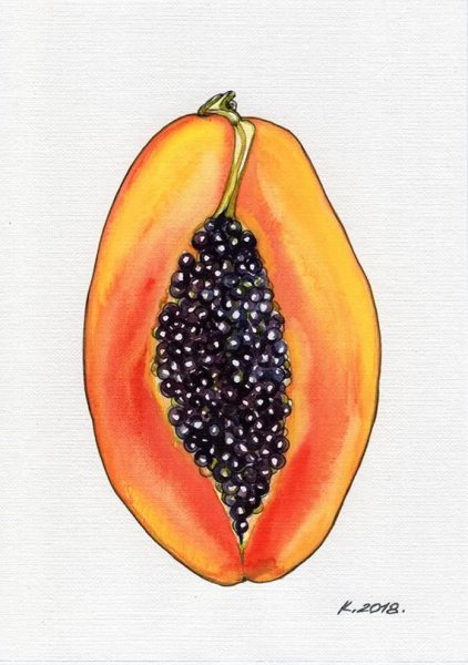 Папайя скетч акварелью