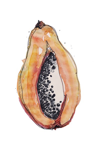 Папайя рисунок акварелью